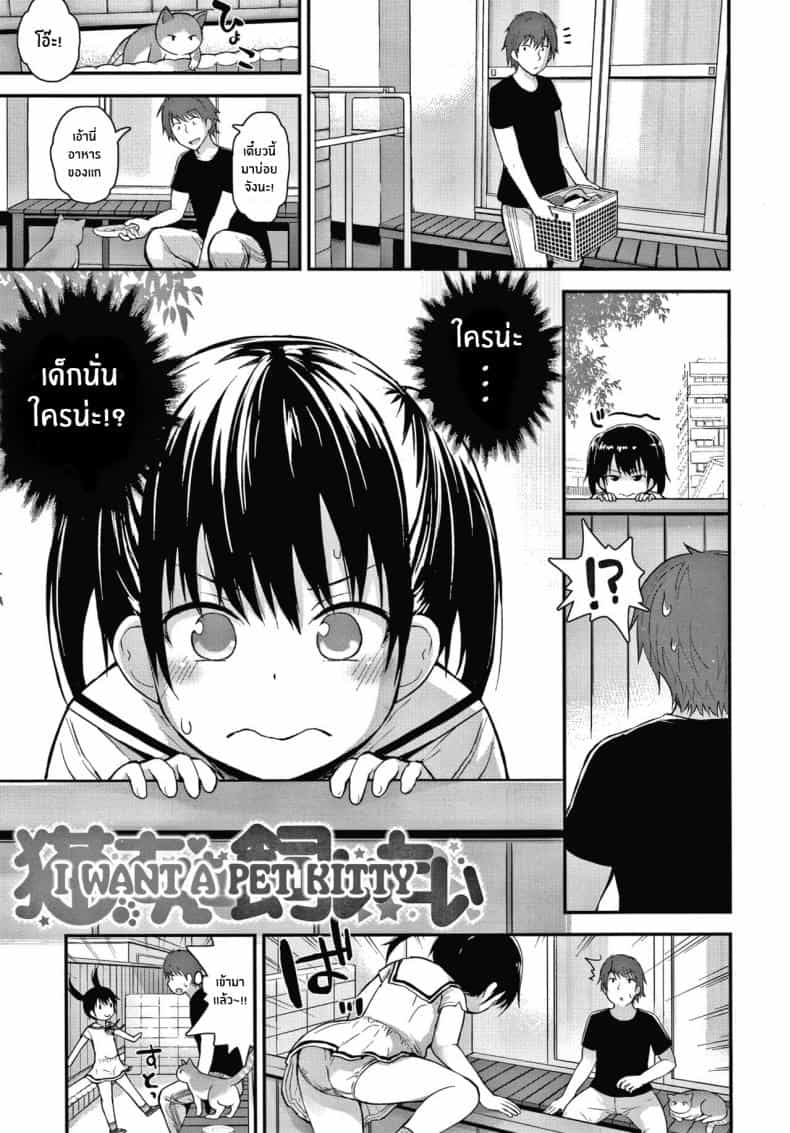 ล่อโลลิด้วยเเมว